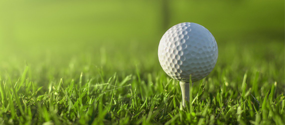 GOLF TIP cover