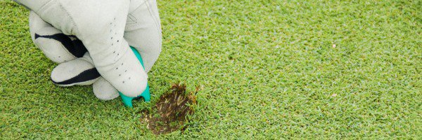 COURSE CARE - IT’S EVERYONE’S RESPONSIBILITY! cover