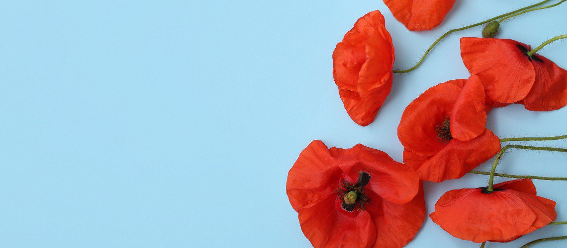 REMEMBRANCE DAY cover